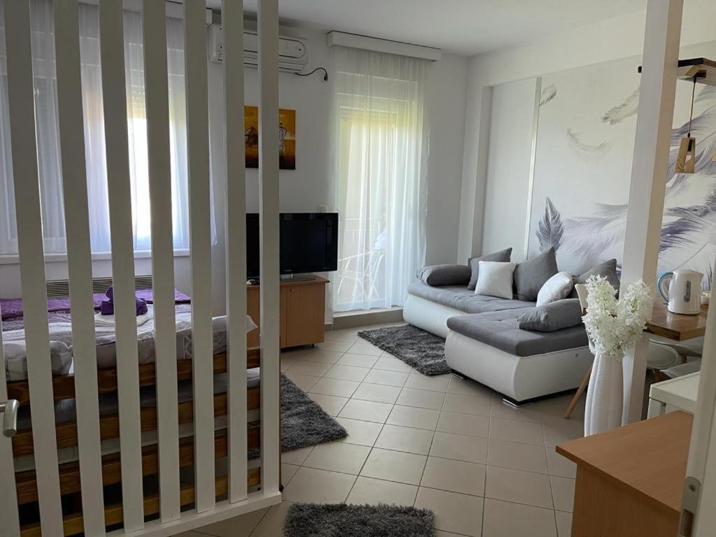 Apartman Lukic Banja Koviljača المظهر الخارجي الصورة