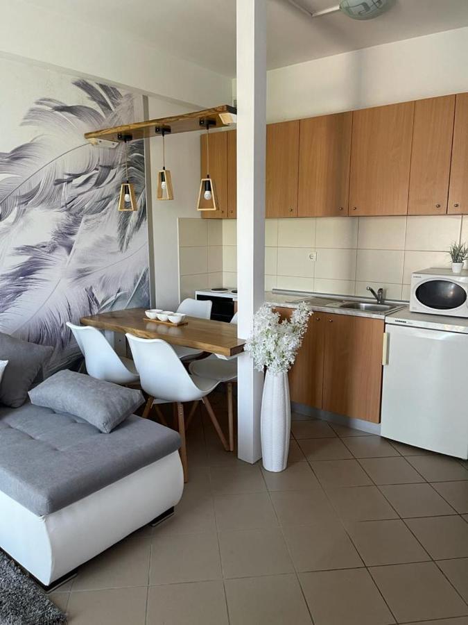 Apartman Lukic Banja Koviljača المظهر الخارجي الصورة