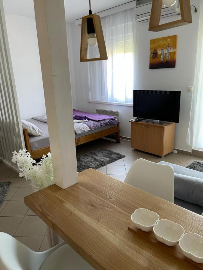 Apartman Lukic Banja Koviljača المظهر الخارجي الصورة