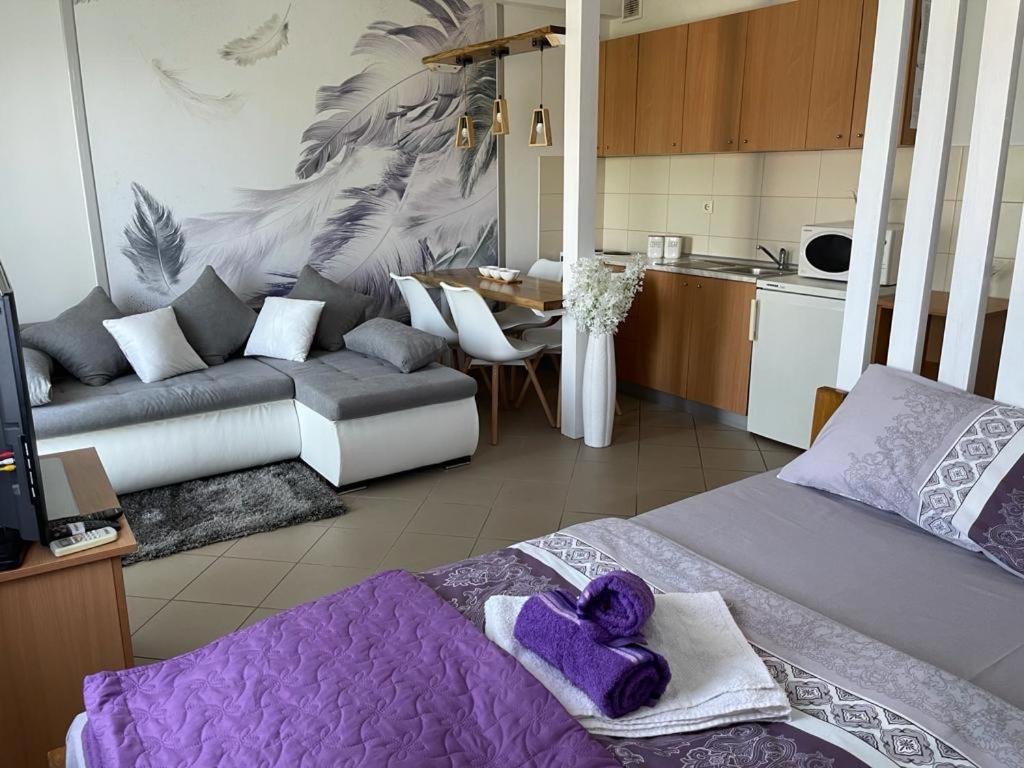Apartman Lukic Banja Koviljača المظهر الخارجي الصورة