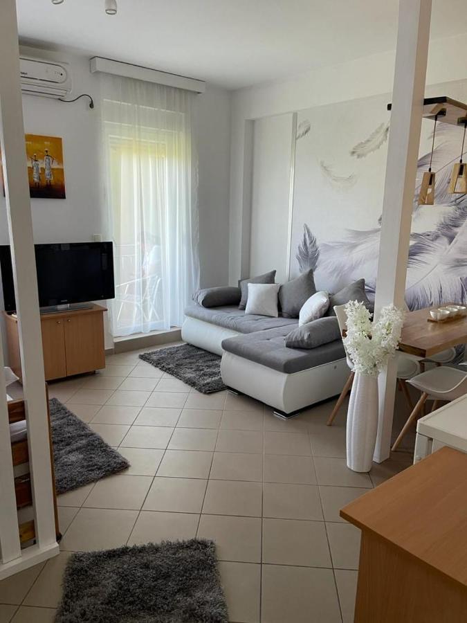 Apartman Lukic Banja Koviljača المظهر الخارجي الصورة