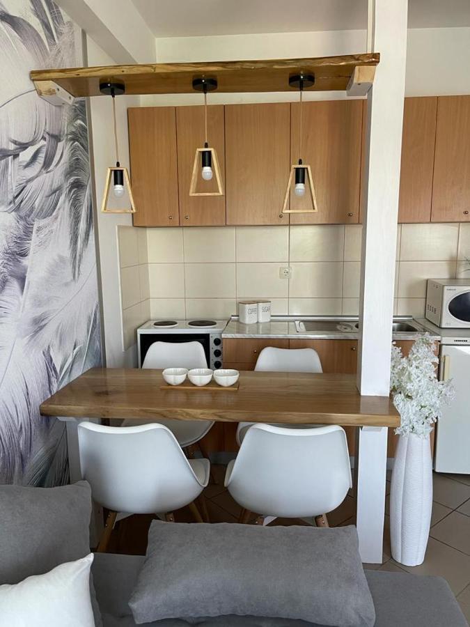 Apartman Lukic Banja Koviljača المظهر الخارجي الصورة