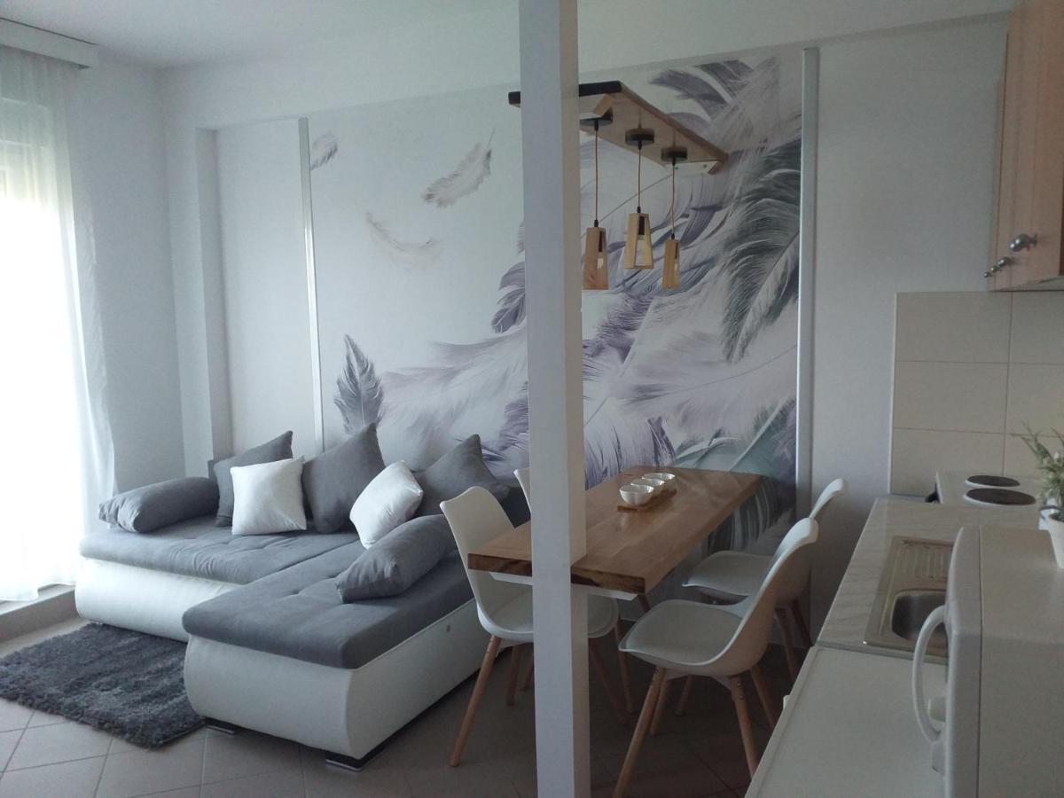 Apartman Lukic Banja Koviljača المظهر الخارجي الصورة