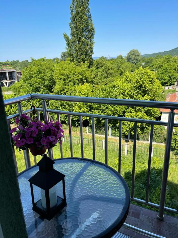 Apartman Lukic Banja Koviljača المظهر الخارجي الصورة